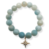 faceted_amazonite_northstar_161_no_bg